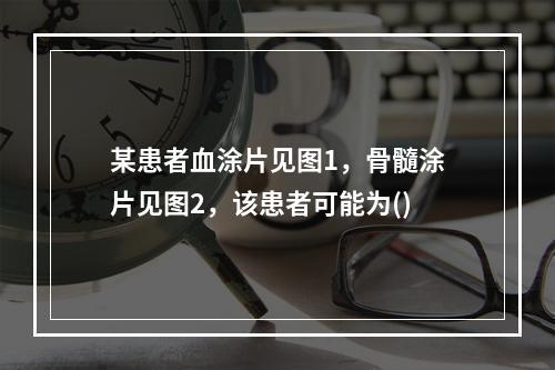 某患者血涂片见图1，骨髓涂片见图2，该患者可能为()