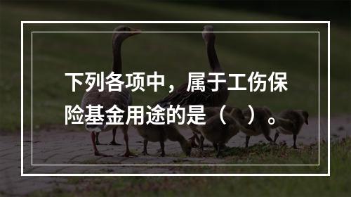 下列各项中，属于工伤保险基金用途的是（　）。