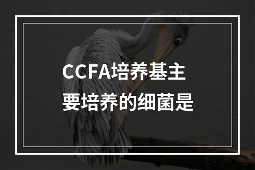 CCFA培养基主要培养的细菌是