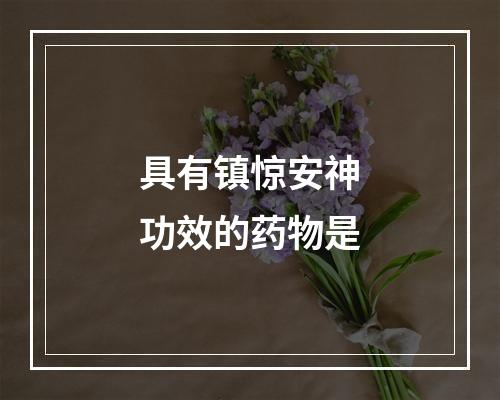 具有镇惊安神功效的药物是