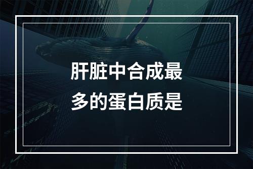 肝脏中合成最多的蛋白质是