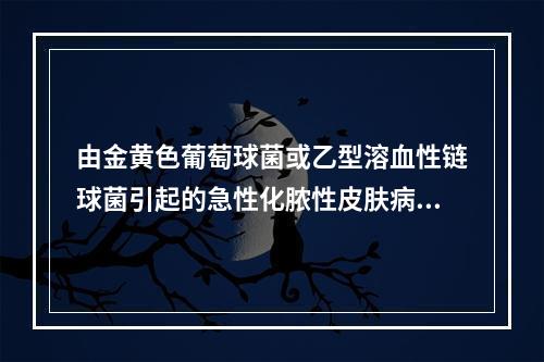 由金黄色葡萄球菌或乙型溶血性链球菌引起的急性化脓性皮肤病是