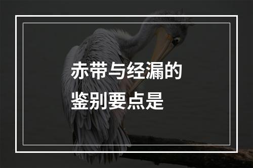 赤带与经漏的鉴别要点是