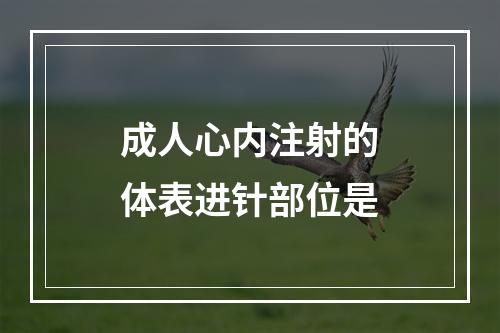 成人心内注射的体表进针部位是