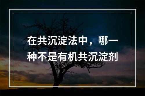 在共沉淀法中，哪一种不是有机共沉淀剂