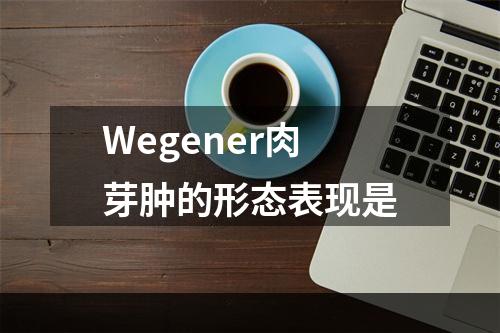 Wegener肉芽肿的形态表现是