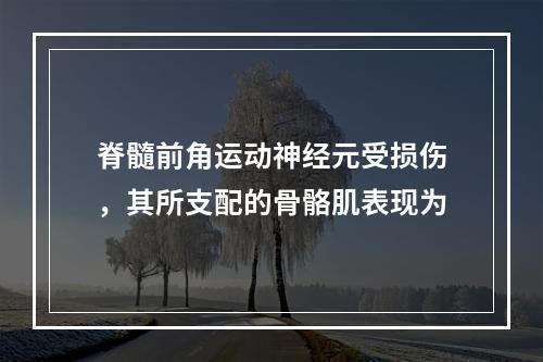 脊髓前角运动神经元受损伤，其所支配的骨骼肌表现为