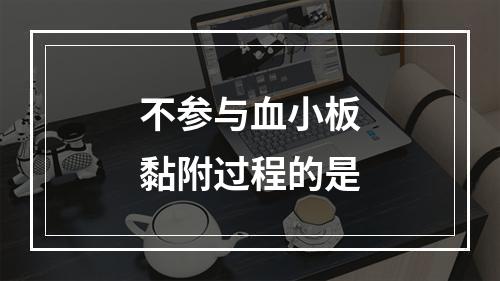 不参与血小板黏附过程的是