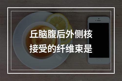 丘脑腹后外侧核接受的纤维束是