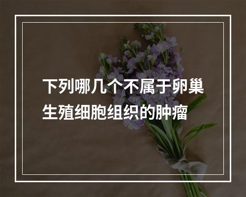 下列哪几个不属于卵巢生殖细胞组织的肿瘤