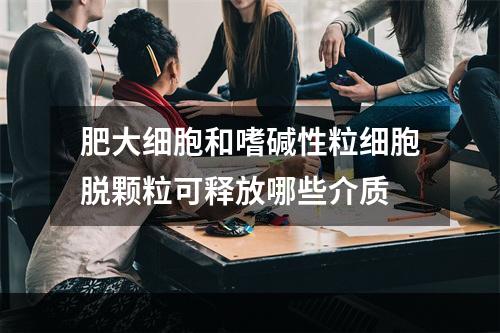 肥大细胞和嗜碱性粒细胞脱颗粒可释放哪些介质