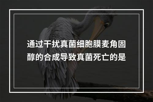 通过干扰真菌细胞膜麦角固醇的合成导致真菌死亡的是