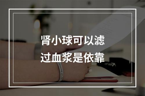 肾小球可以滤过血浆是依靠