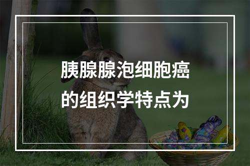 胰腺腺泡细胞癌的组织学特点为