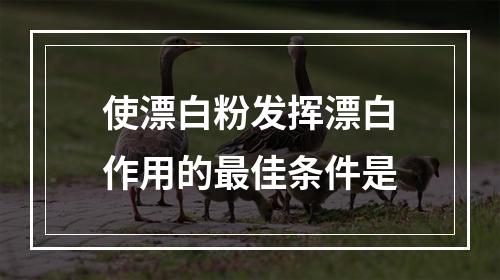 使漂白粉发挥漂白作用的最佳条件是