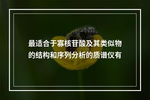 最适合于寡核苷酸及其类似物的结构和序列分析的质谱仪有