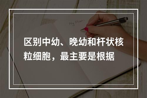 区别中幼、晚幼和杆状核粒细胞，最主要是根据