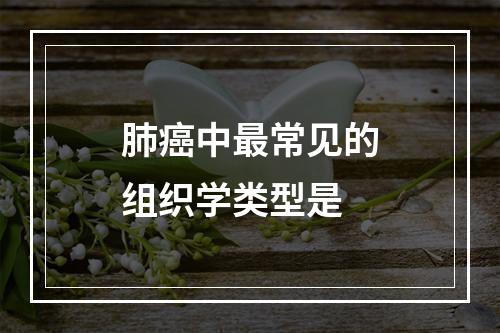 肺癌中最常见的组织学类型是