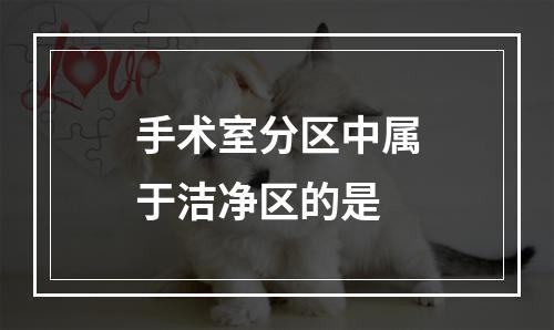 手术室分区中属于洁净区的是