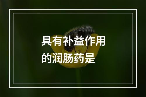 具有补益作用的润肠药是