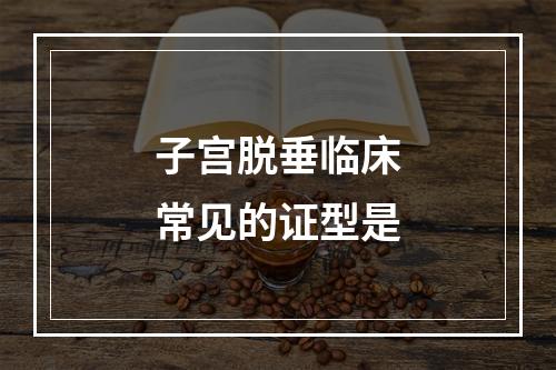 子宫脱垂临床常见的证型是