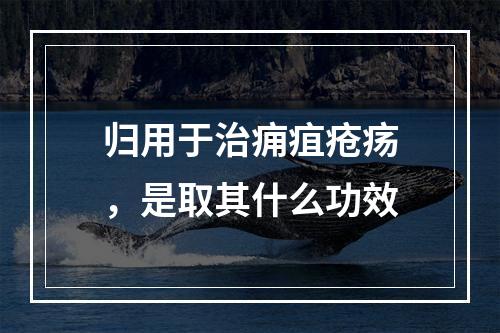 归用于治痈疽疮疡，是取其什么功效