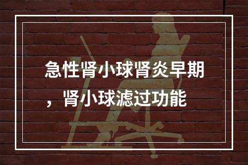 急性肾小球肾炎早期，肾小球滤过功能