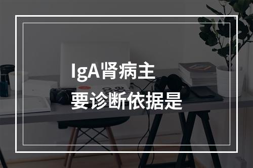 IgA肾病主要诊断依据是