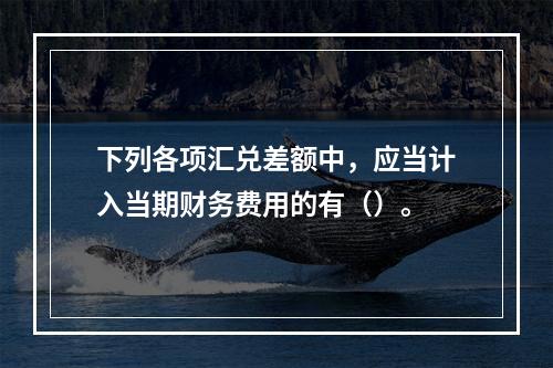 下列各项汇兑差额中，应当计入当期财务费用的有（）。