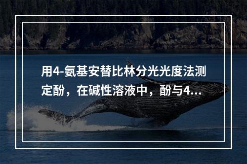 用4-氨基安替比林分光光度法测定酚，在碱性溶液中，酚与4-氨