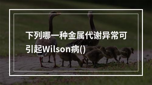 下列哪一种金属代谢异常可引起Wilson病()