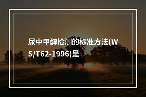 尿中甲醇检测的标准方法(WS/T62-1996)是