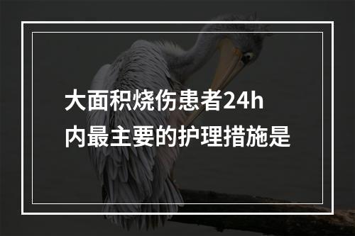 大面积烧伤患者24h内最主要的护理措施是