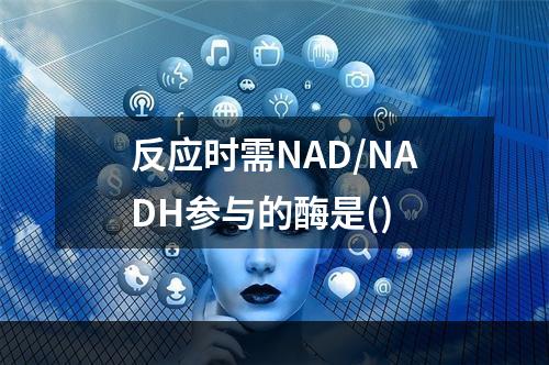 反应时需NAD/NADH参与的酶是()