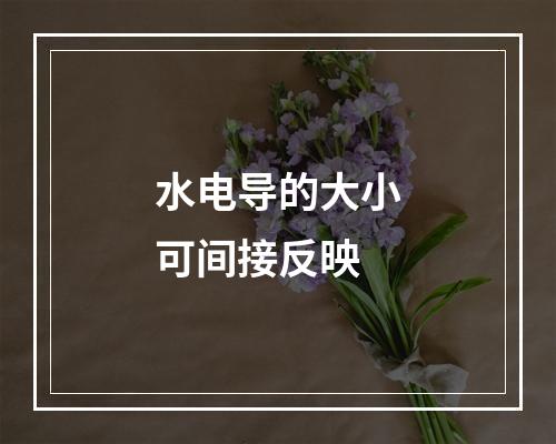 水电导的大小可间接反映