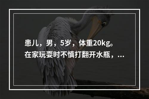 患儿，男，5岁，体重20kg。在家玩耍时不慎打翻开水瓶，双下