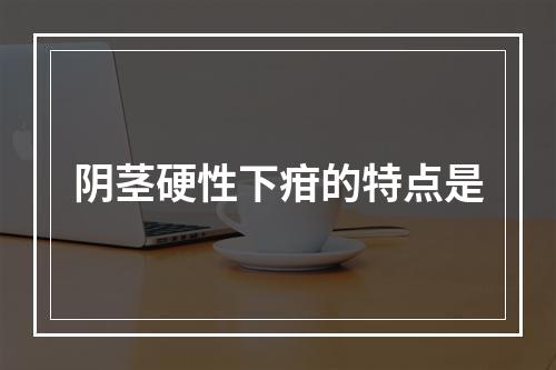 阴茎硬性下疳的特点是