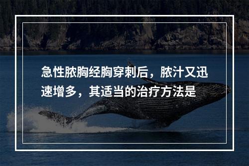 急性脓胸经胸穿刺后，脓汁又迅速增多，其适当的治疗方法是