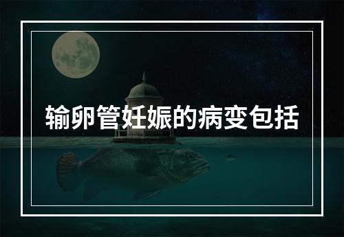 输卵管妊娠的病变包括