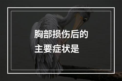 胸部损伤后的主要症状是