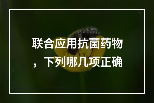 联合应用抗菌药物，下列哪几项正确