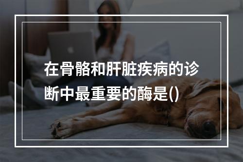 在骨骼和肝脏疾病的诊断中最重要的酶是()