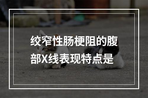 绞窄性肠梗阻的腹部X线表现特点是