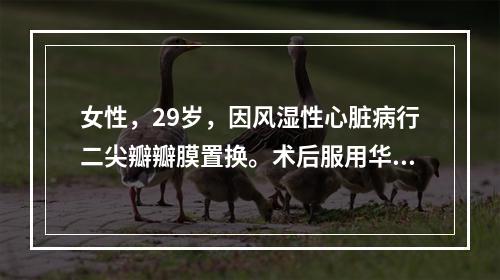 女性，29岁，因风湿性心脏病行二尖瓣瓣膜置换。术后服用华法林