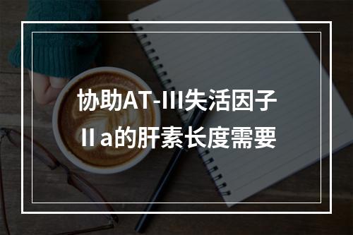 协助AT-Ⅲ失活因子Ⅱa的肝素长度需要