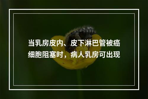 当乳房皮内、皮下淋巴管被癌细胞阻塞时，病人乳房可出现