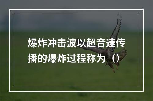 爆炸冲击波以超音速传播的爆炸过程称为（）