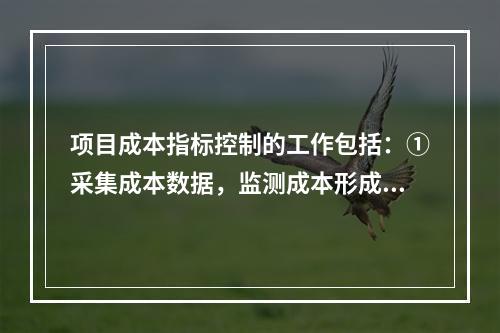 项目成本指标控制的工作包括：①采集成本数据，监测成本形成过程