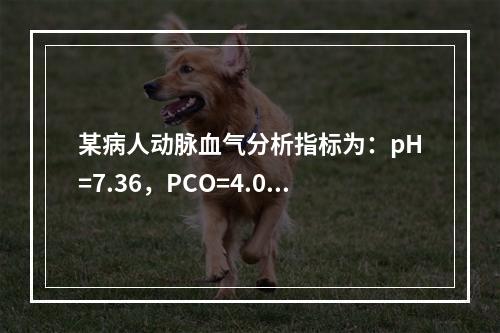 某病人动脉血气分析指标为：pH=7.36，PCO=4.0kP