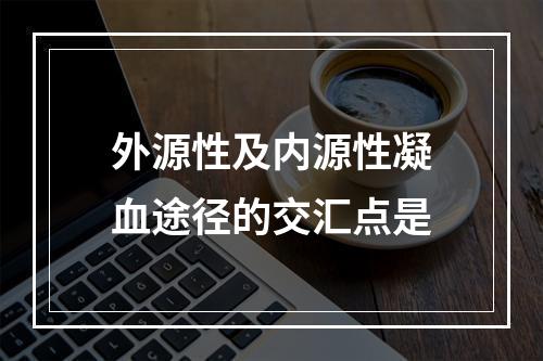 外源性及内源性凝血途径的交汇点是